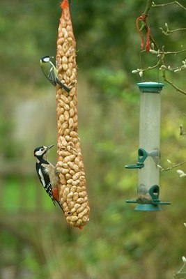 BUITEN BEELD Foto: 136706