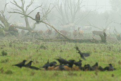 BUITEN BEELD Foto: 136731