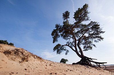 BUITEN BEELD Foto: 136744
