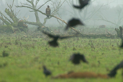 BUITEN BEELD Foto: 136751