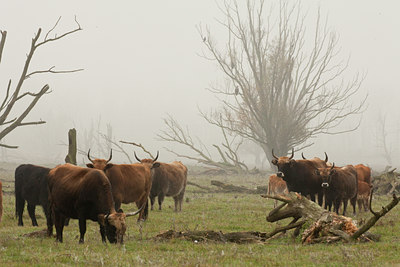 BUITEN BEELD Foto: 136753