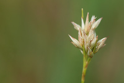 BUITEN BEELD Foto: 136792