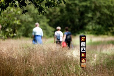 BUITEN BEELD Foto: 136832