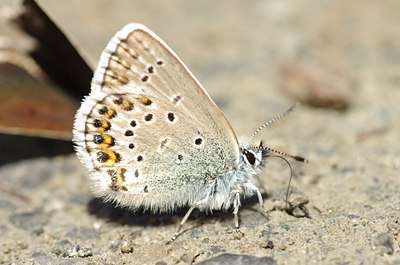 BUITEN BEELD Foto: 136849