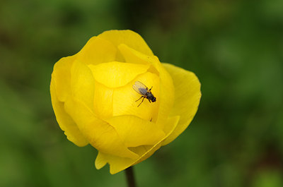 BUITEN BEELD Foto: 136856