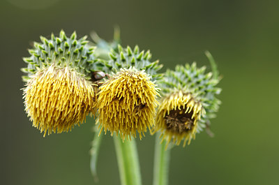 BUITEN BEELD Foto: 136857