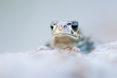 BUITEN BEELD Foto: 136867