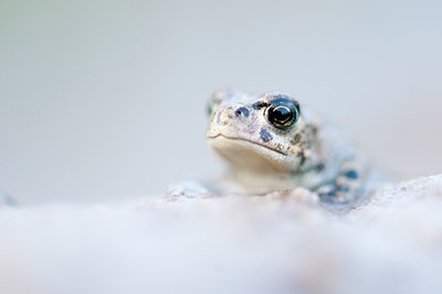 BUITEN BEELD Foto: 136868