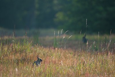 BUITEN BEELD Foto: 136875
