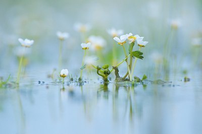 BUITEN BEELD Foto: 136896