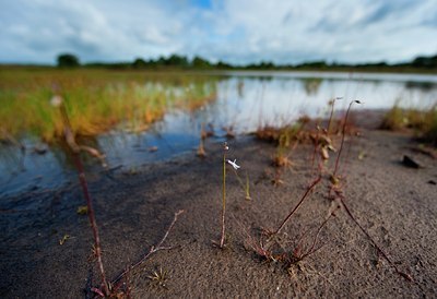 BUITEN BEELD Foto: 136899