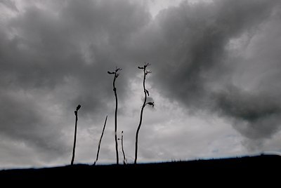 BUITEN BEELD Foto: 136902