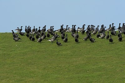 BUITEN BEELD Foto: 136930