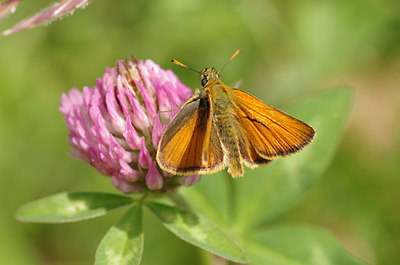 BUITEN BEELD Foto: 136950