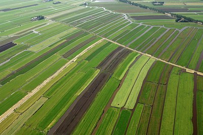 BUITEN BEELD Foto: 136955