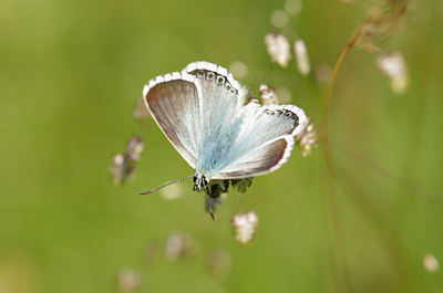 BUITEN BEELD Foto: 137045