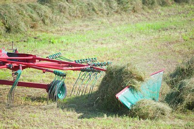 BUITEN BEELD Foto: 137052
