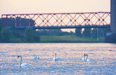 BUITEN BEELD Foto: 137088