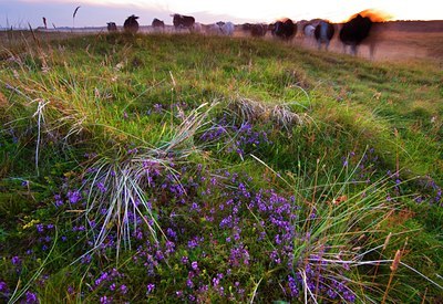 BUITEN BEELD Foto: 137135
