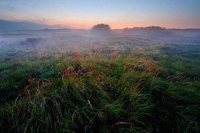 BUITEN BEELD Foto: 137137