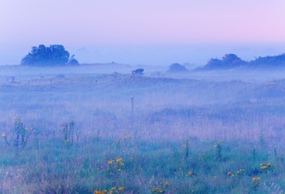 BUITEN BEELD Foto: 137140