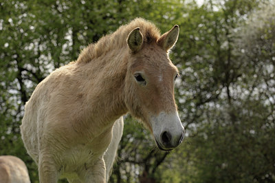 BUITEN BEELD Foto: 137208