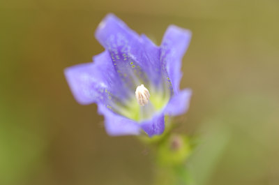 BUITEN BEELD Foto: 137263