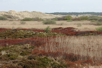 BUITEN BEELD Foto: 137274