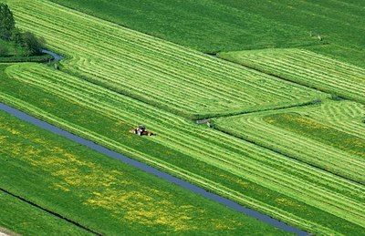 BUITEN BEELD Foto: 137290