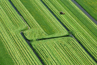 BUITEN BEELD Foto: 137293