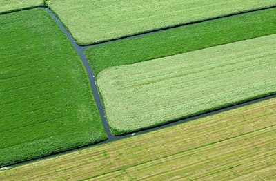 BUITEN BEELD Foto: 137294