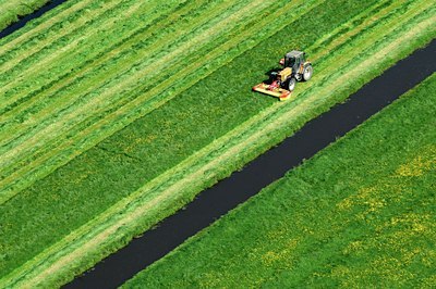 BUITEN BEELD Foto: 137295