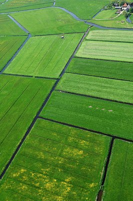 BUITEN BEELD Foto: 137297
