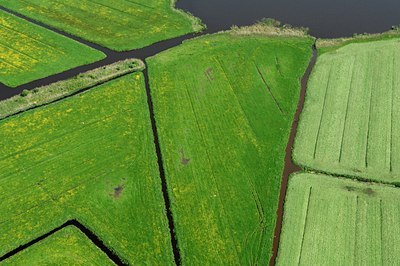 BUITEN BEELD Foto: 137298