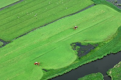 BUITEN BEELD Foto: 137316