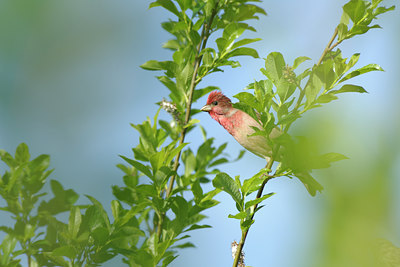 BUITEN BEELD Foto: 137353