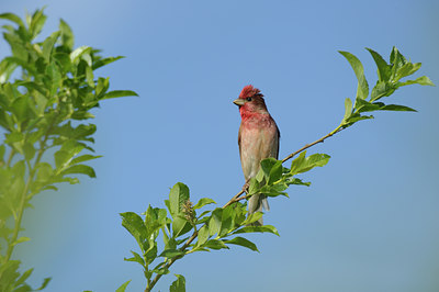BUITEN BEELD Foto: 137354