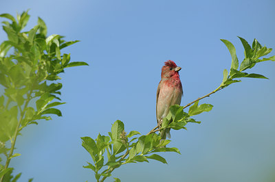BUITEN BEELD Foto: 137356