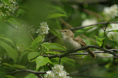 BUITEN BEELD Foto: 137358
