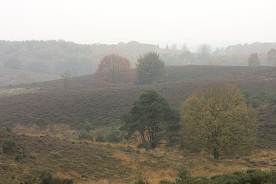 BUITEN BEELD Foto: 137399