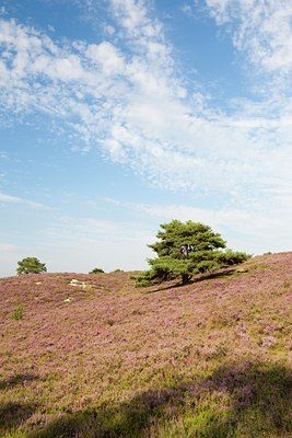 BUITEN BEELD Foto: 137474