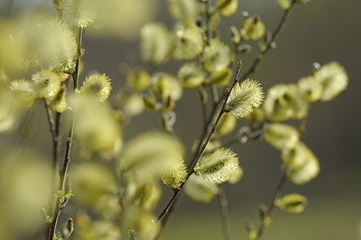 BUITEN BEELD Foto: 137493