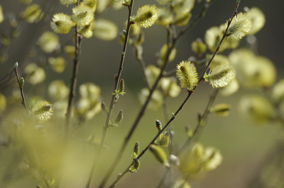 BUITEN BEELD Foto: 137495