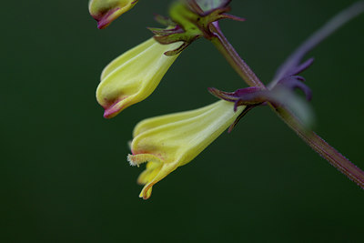 BUITEN BEELD Foto: 137503
