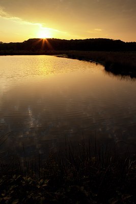 BUITEN BEELD Foto: 137525