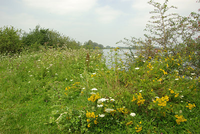 BUITEN BEELD Foto: 137544