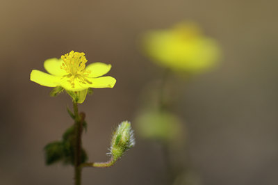 BUITEN BEELD Foto: 137553