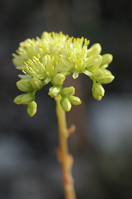 BUITEN BEELD Foto: 137558