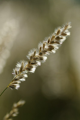 BUITEN BEELD Foto: 137562