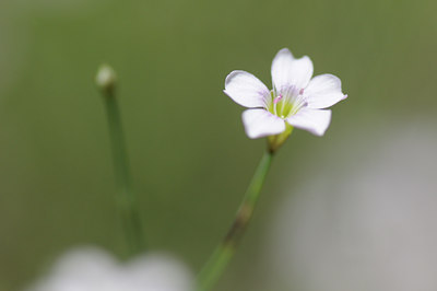 BUITEN BEELD Foto: 137571